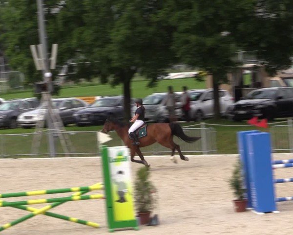 Reitturnier Fehraltorf 2024