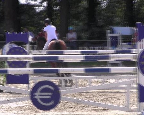 Datteln 2012
