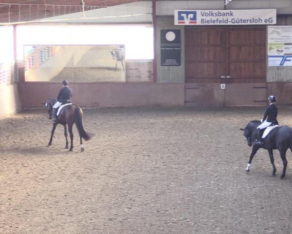 Reitturnier Herzebrock-Rheda 2021