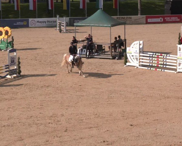 Reitturnier Stadl-Paura 2024