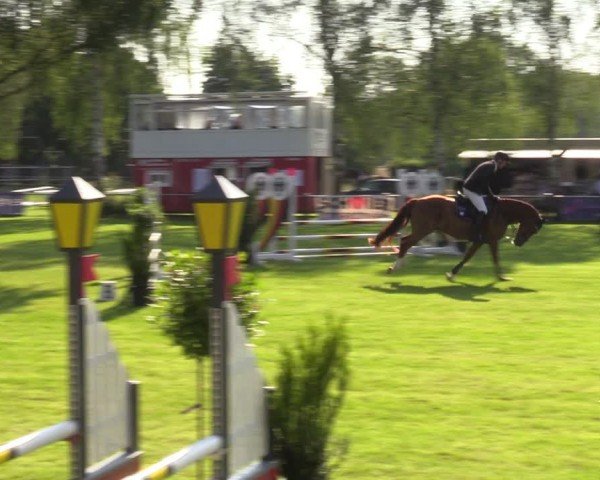 Reitturnier Hille 2024