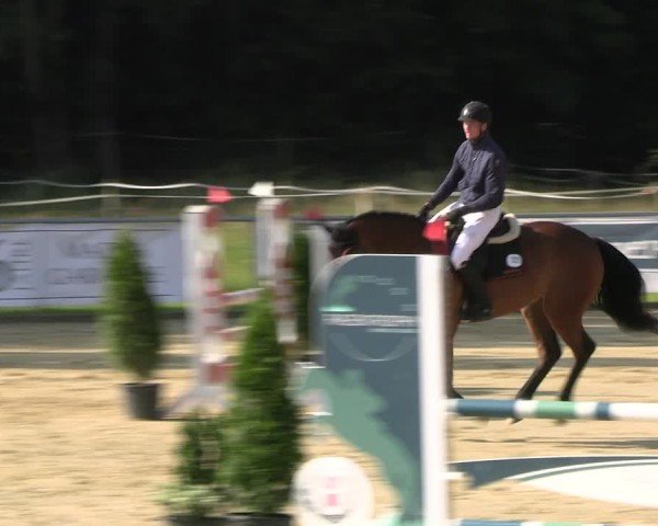 Reitturnier Oelde 2024
