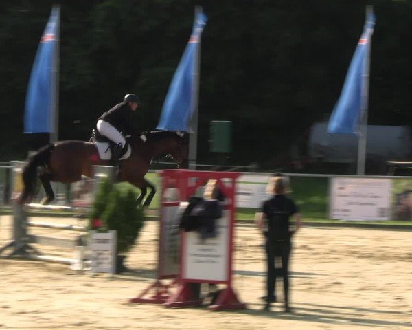 Reitturnier Oelde 2024