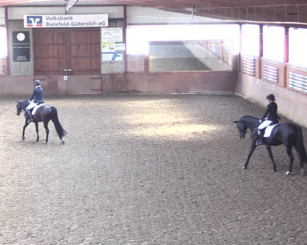 Reitturnier Herzebrock-Rheda 2021