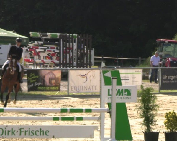 Reitturnier Oelde 2024