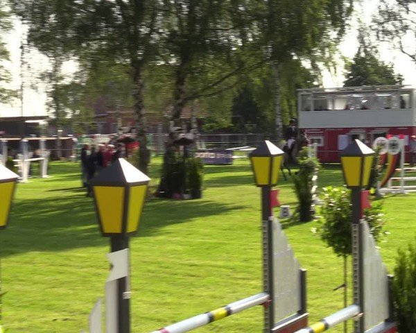 Reitturnier Hille 2024