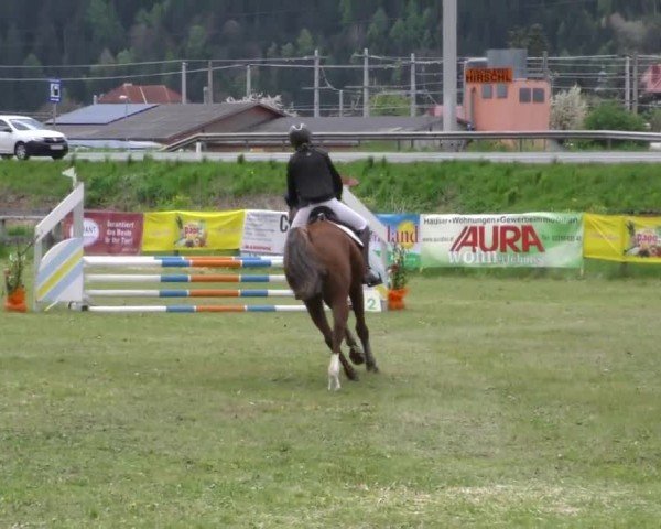 Reitturnier Friesach 2023