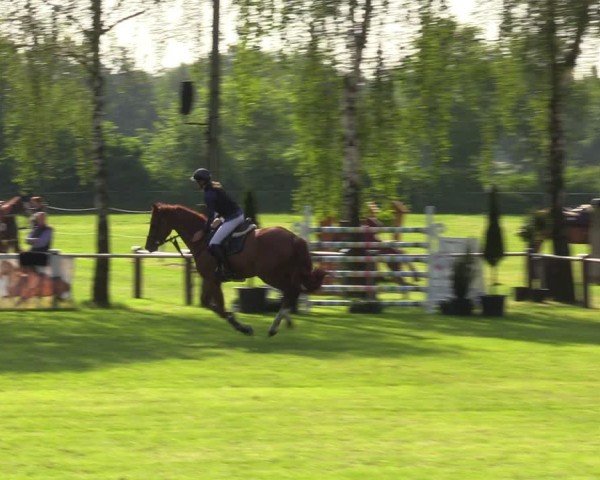Reitturnier Hille 2024