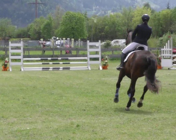 Reitturnier Friesach 2023