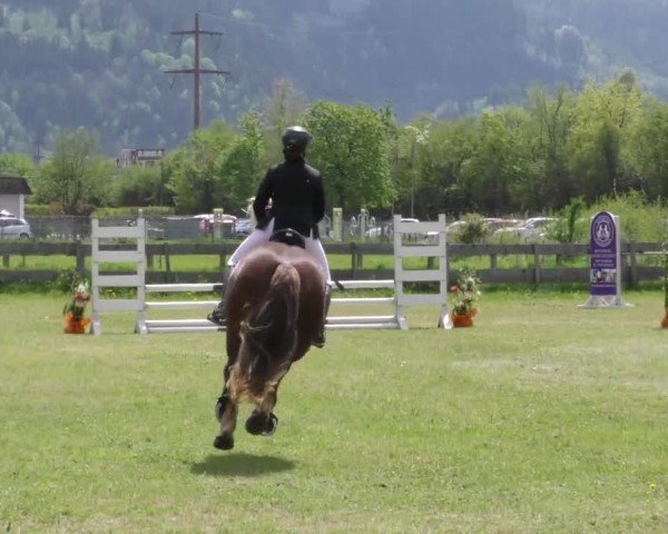 Reitturnier Friesach 2023