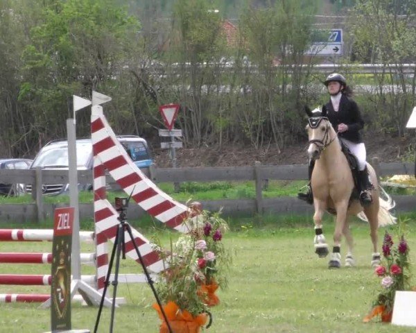 Reitturnier Friesach 2023