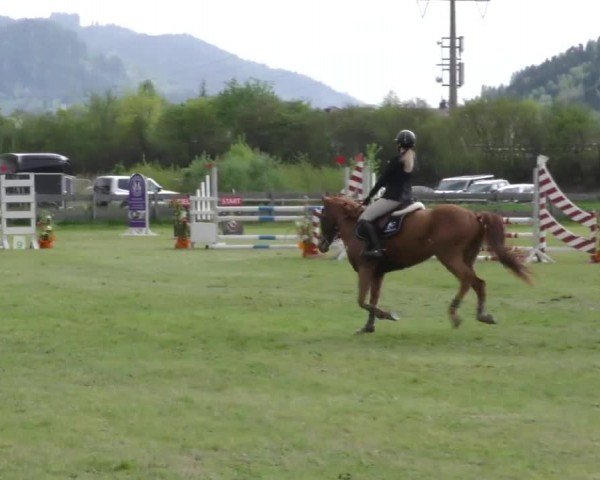 Reitturnier Friesach 2023