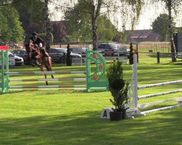 Reitturnier Hille 2024