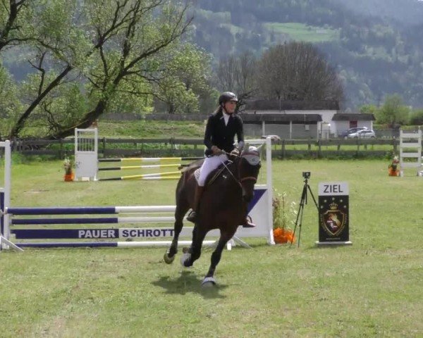 Reitturnier Friesach 2023