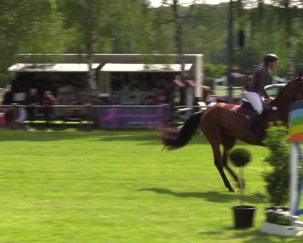 Reitturnier Hille 2024