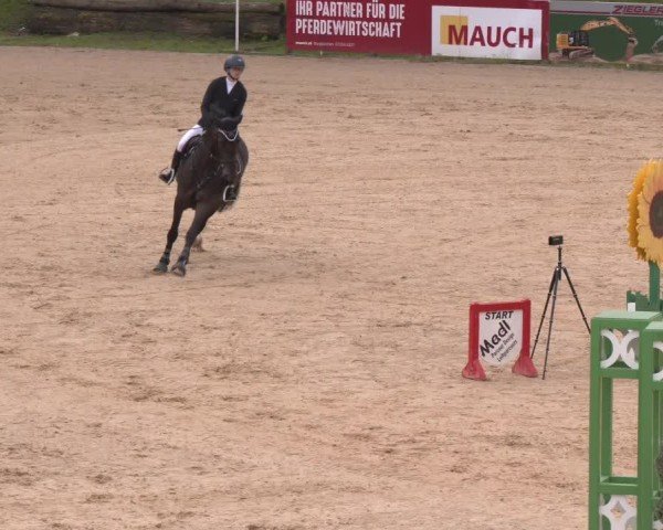 Reitturnier Stadl-Paura 2024