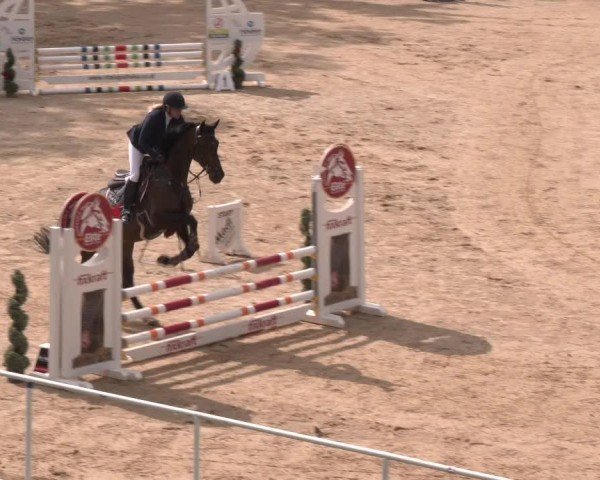 Reitturnier Stadl-Paura 2024