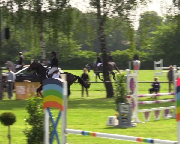 Reitturnier Hille 2024