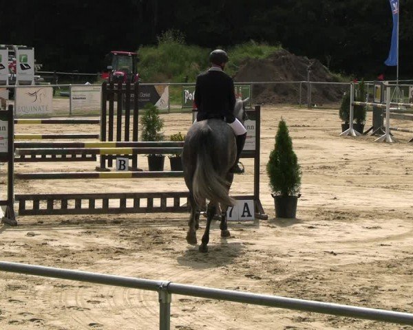Reitturnier Oelde 2024