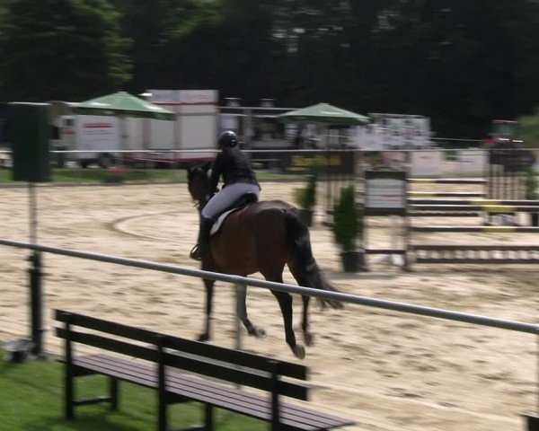 Reitturnier Oelde 2024