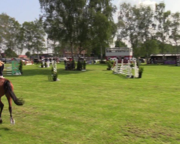 Reitturnier Hille 2024