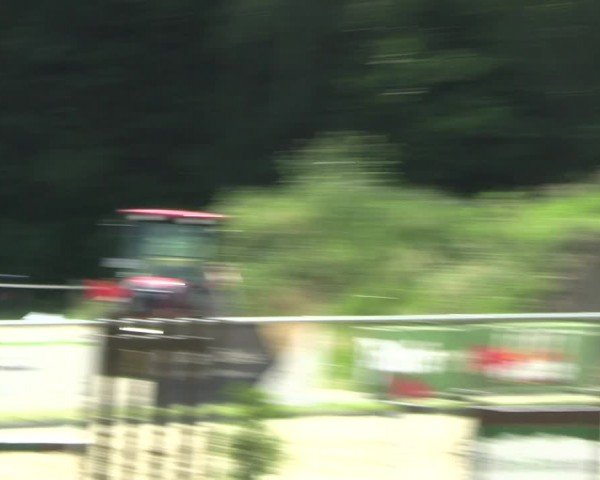 Reitturnier Oelde 2024