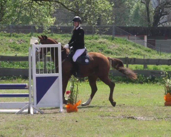 Reitturnier Friesach 2023