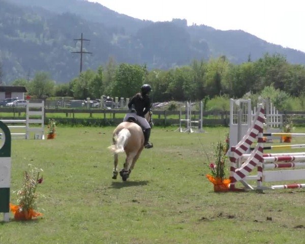 Reitturnier Friesach 2023