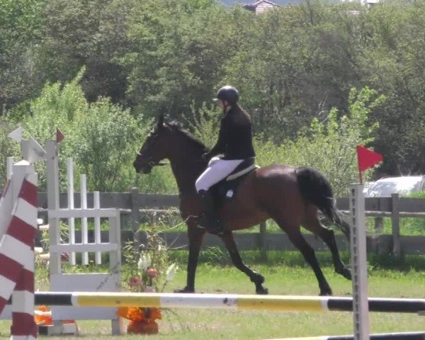Reitturnier Friesach 2023