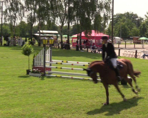 Reitturnier Hille 2024