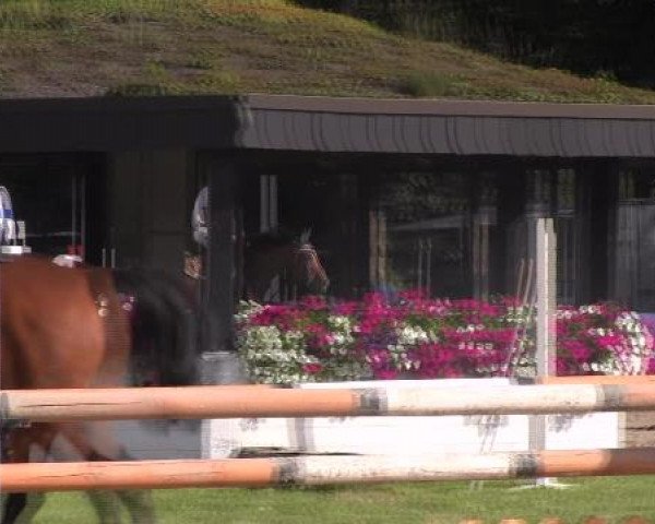 Datteln 2012