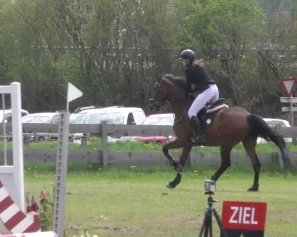 Reitturnier Friesach 2023