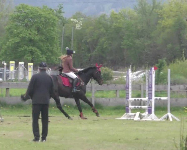 Reitturnier Friesach 2023