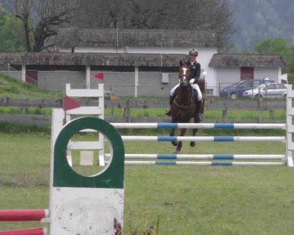 Reitturnier Friesach 2023