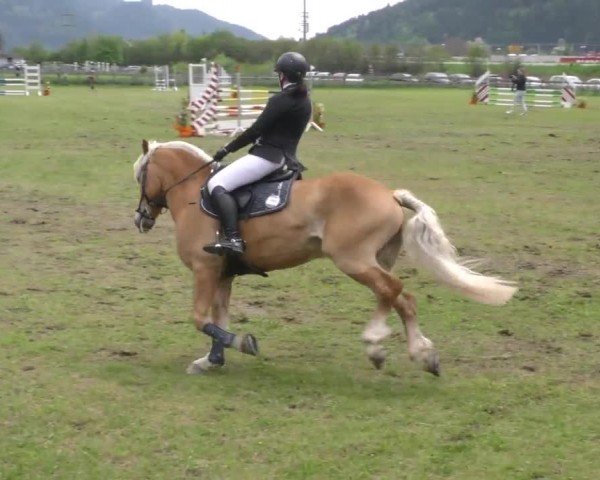 Reitturnier Friesach 2023