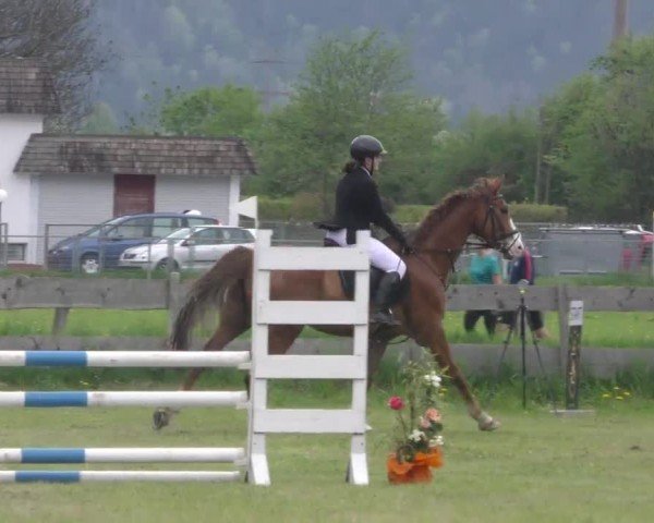 Reitturnier Friesach 2023