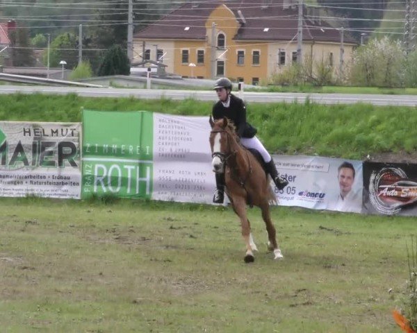 Reitturnier Friesach 2023