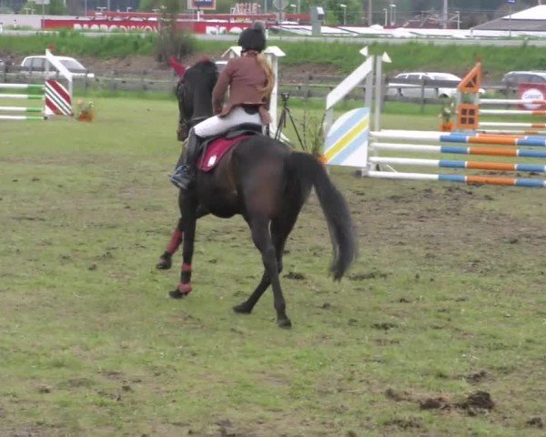 Reitturnier Friesach 2023