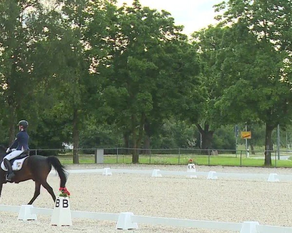 Reitturnier Rot am See- Musdorf 2024