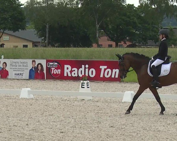 Reitturnier Rot am See- Musdorf 2024