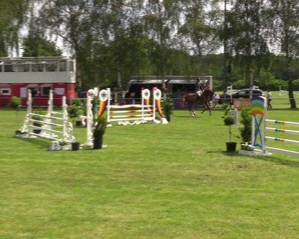 Reitturnier Hille 2024