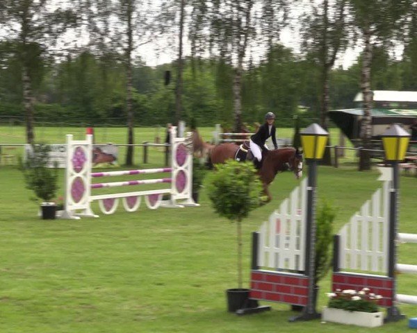 Reitturnier Hille 2024