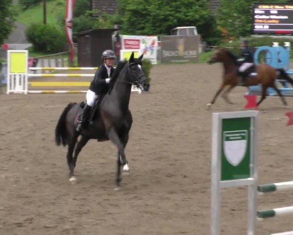 Reitturnier Tillmitsch 2023