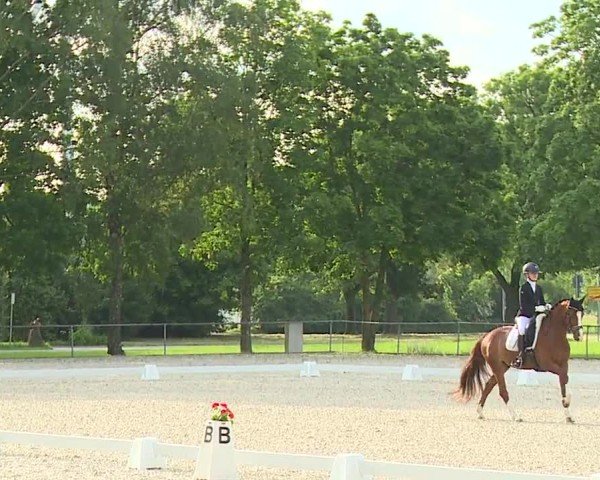 Reitturnier Rot am See- Musdorf 2024