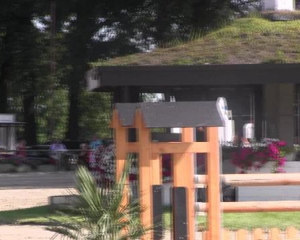 Torneo Equestre Datteln 2012