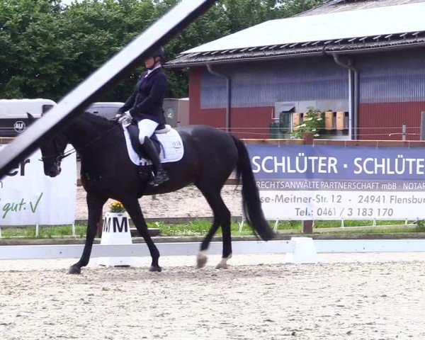 Reitturnier Sörup 2024