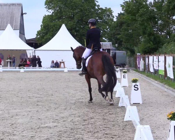 Reitturnier Sörup 2024