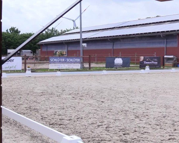 Reitturnier Sörup 2024