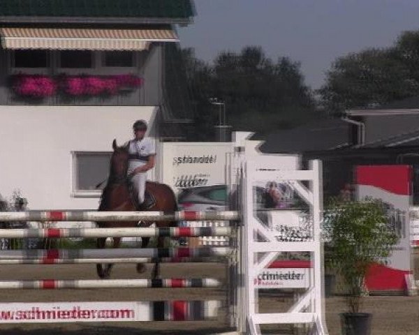 Datteln 2012