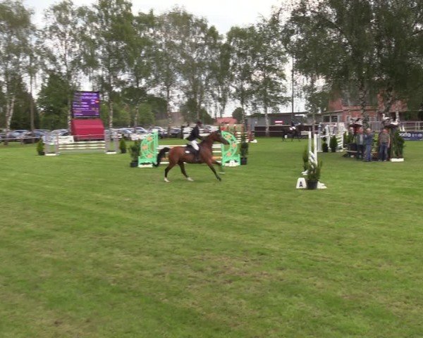 Reitturnier Hille 2024